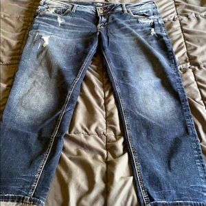 Silver jeans 33 x25